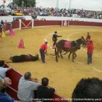 Resumen de la corrida de Toros en Herencia 5
