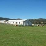 Una escuela taller restaura los "Corrios" de Carpuela para convertirlos en casas rurales 9