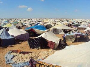 Tragedia humana en el Sahara Occidental. Comunicado de la A.A.P.S. El Uali de Herencia 8