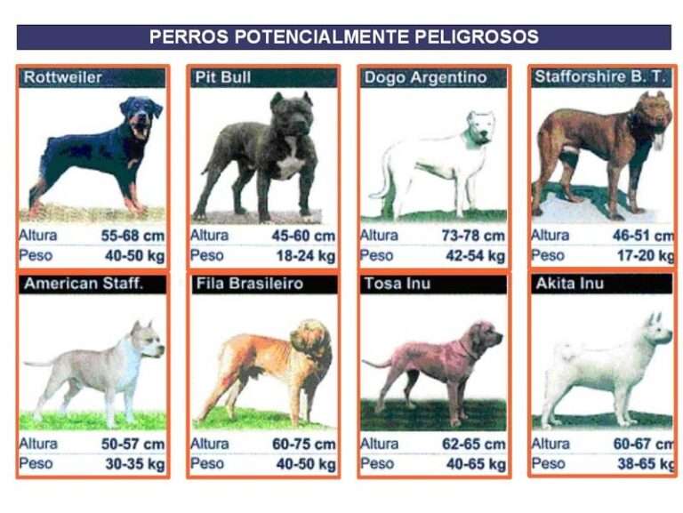 perros_peligrosos