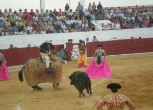 Festejo taurino en la localidad de Herencia (Ciudad Real).Mari Carmen Ramírez Festejo taurino en la localidad de Herencia (Ciudad Real).Mari Carmen Ramírez