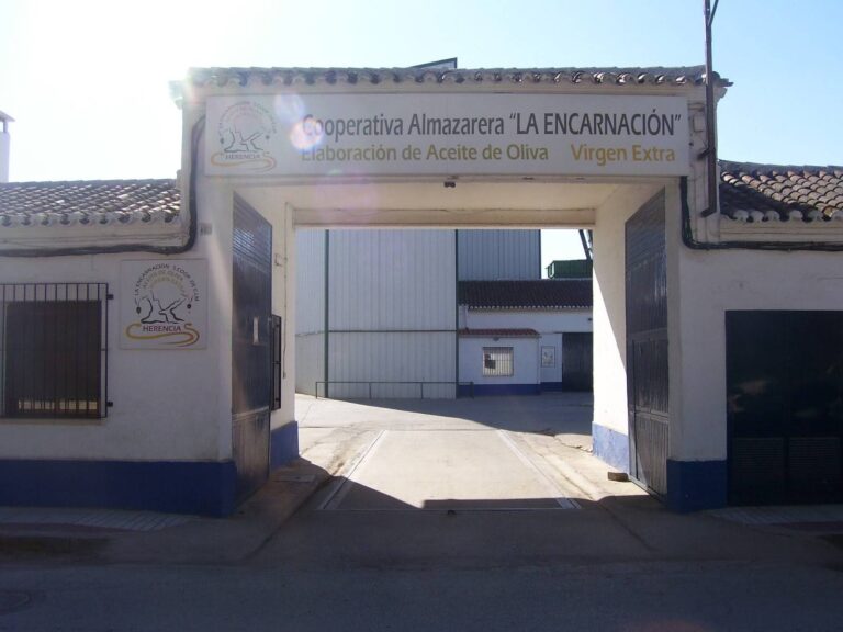 Cooperativa - Almazara La Encarnación