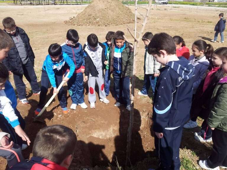 Escolares de Herencia plantando moreras durante el día mundial del árbol