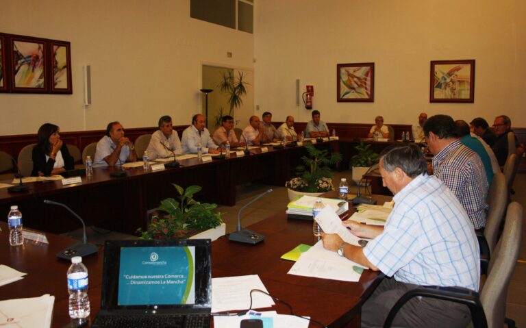 pleno comsermancha septiembre 2