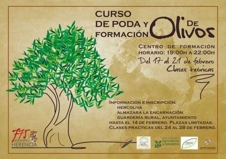 Curso de poda en Herencia y formación del olivar