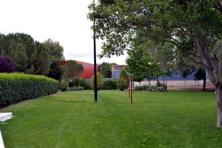 Zonas verdes de la piscina municipal de Herencia