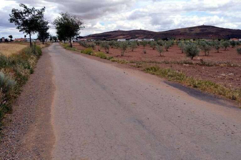 Camino del término municipal de Herencia