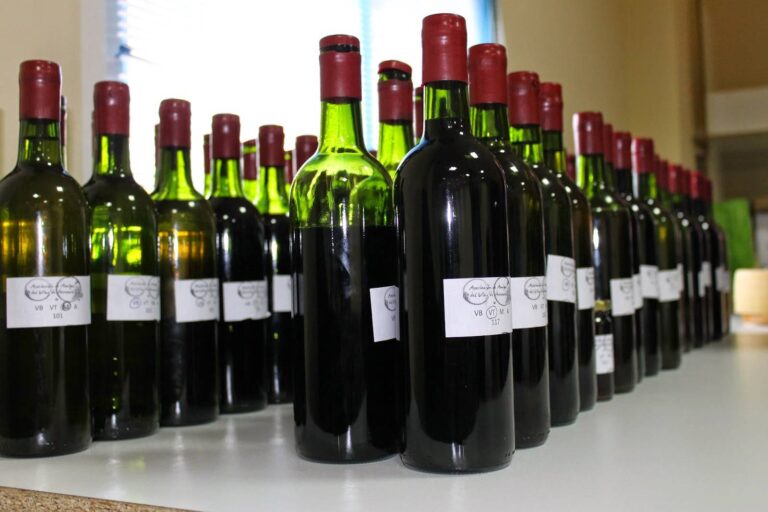 Muestras presentadas al concurso. Foto: Asociación de Amigos del Vino de Herencia