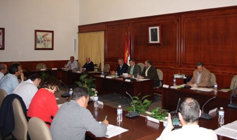 pleno ordinario Comsermancha