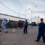 Perlé corriendo en el pasacalles del domingo 129