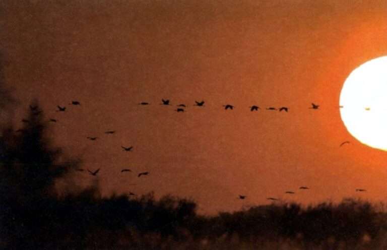 Exposición "Desde mi ventana". Imagen de Rafael Palomo desde mi ventana
