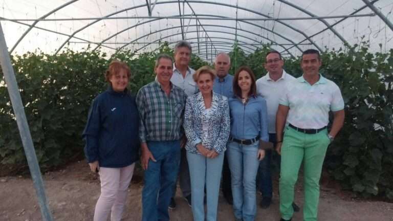 visita Carmen Quintanilla del Partido Popular a un invernadero de Herencia