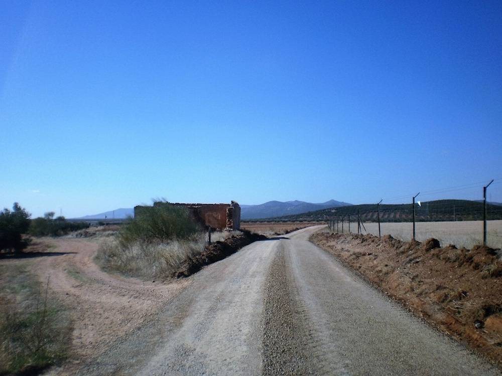 Acondicionados 11 kilómetros de caminos rurales en Herencia 6