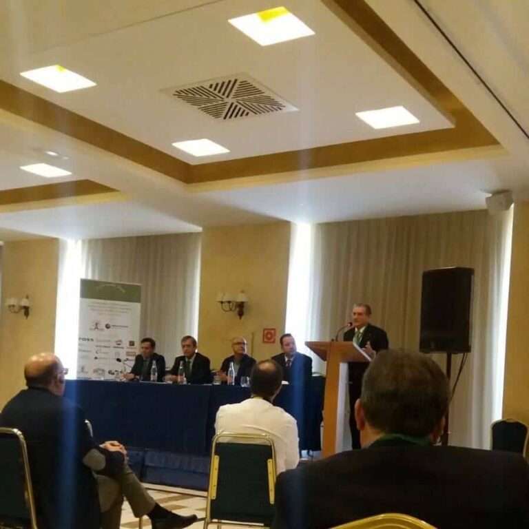 Jornadas DICA.
