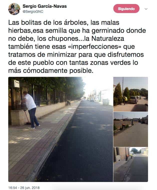 Limpieza de brotes y chupones en acerados de Herencia 9