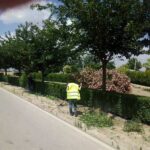 El Ayuntamiento intensifica la limpieza de calles y zonas verdes 9