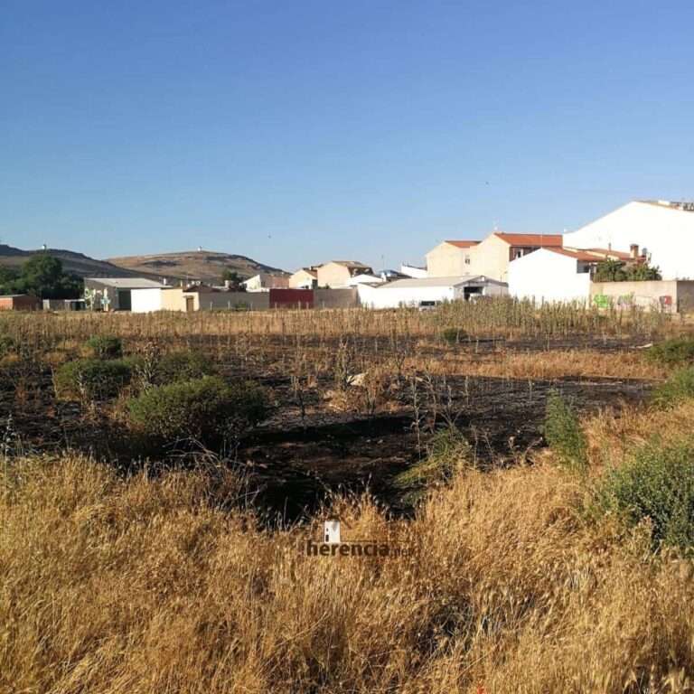 Extinguido incendio en parcela en Herencia