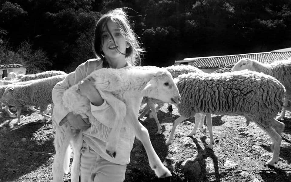 La Red Rural Nacional premia una fotografía de Pablo García-Miguel (Folbap) 2
