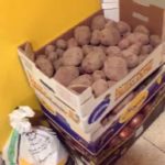 Hortelanos de Herencia donan productos de sus huertas para alimentar a los sanitarios del hospital Mancha-Centro 11
