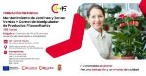 Home Elementor 4