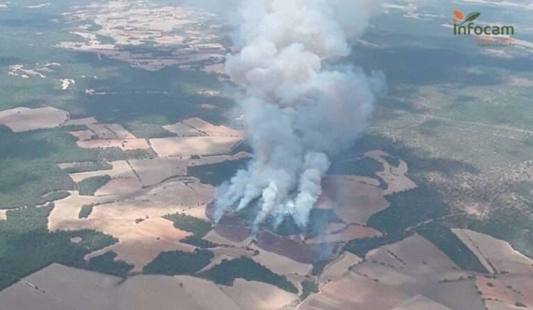 Nueve medios aéreos y 13 terrestres luchan contra un incendio declarado en Valverdejo (Cuenca)