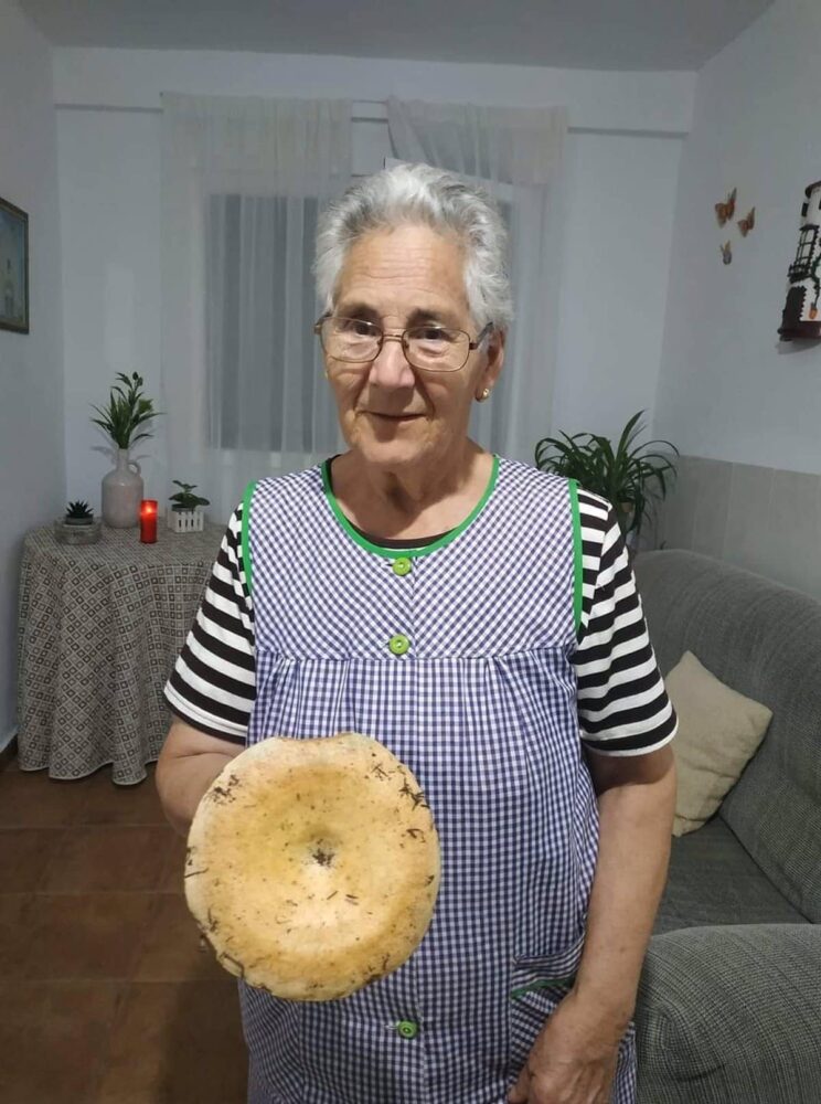 La Guardia Civil reduce el dispositivo de búsqueda de la anciana desaparecida en Cañada del Hoyo
