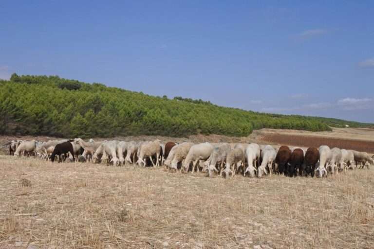 y UCLM suman fuerzas para analizar la situación de mujeres rurales y acabar con su invisibilización