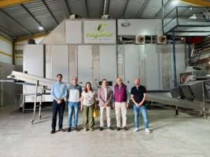 Home Elementor 5