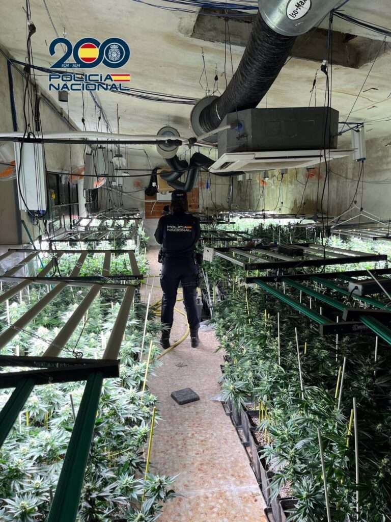 Desmantealado un centro de cultivo de marihuana en una nave industrial de Sonseca (Toledo)