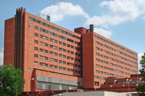 Herido tras caer de plancha al río Tajo al saltar desde un viaducto de unos tres metros de altura en Durón