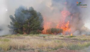 Controlado un incendio forestal declarado en La Puebla de Almuradiel (Toledo) este domingo