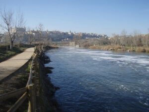 Cátedra del Tajo ve en la actividad hidroeléctrica de dos estaciones la posible causa de la bajada del caudal en Toledo