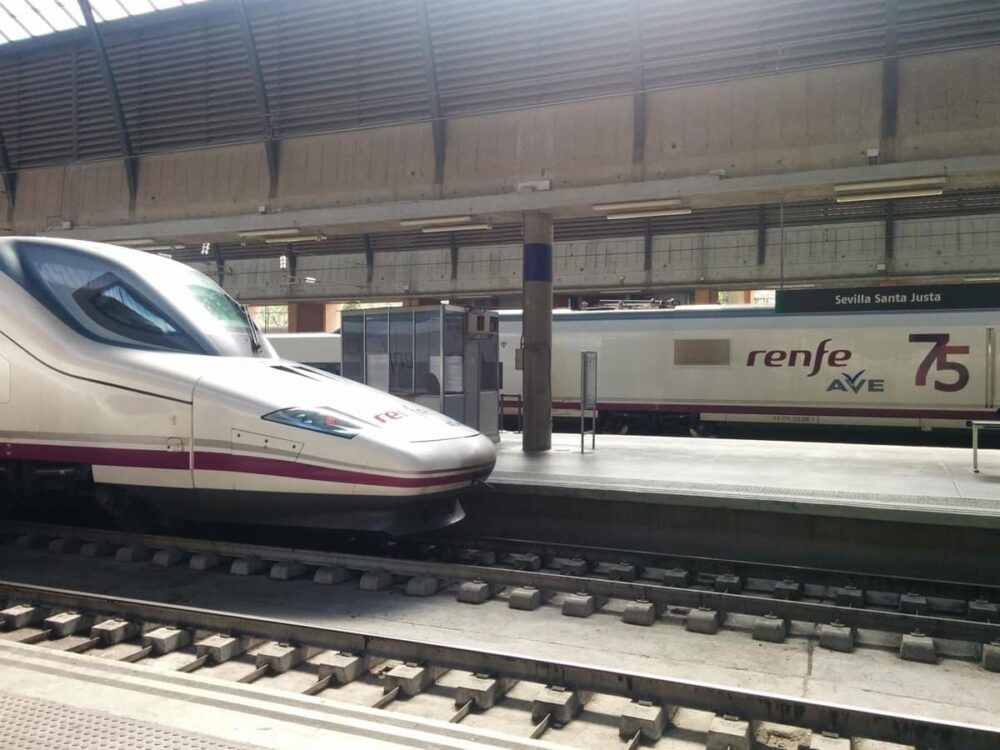 El Defensor del Pueblo pide información al Gobierno sobre la interrupción de la circulación ferroviaria Madrid-Sevilla