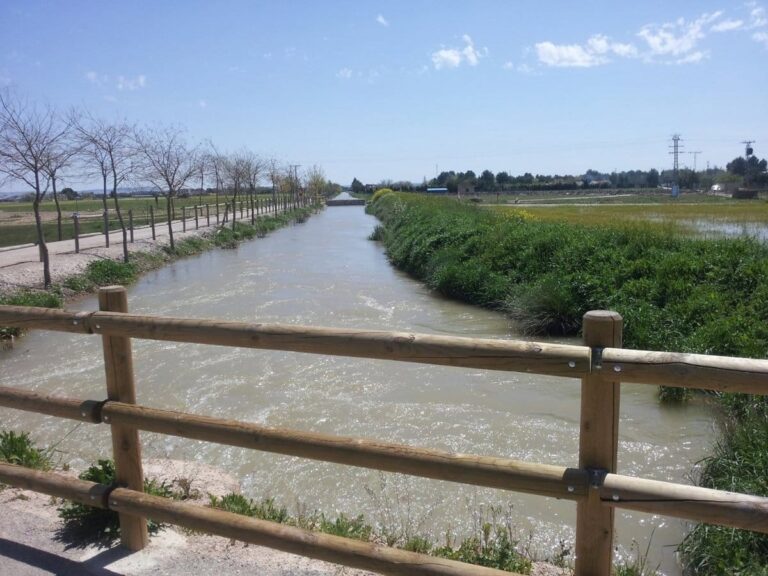 Estudios confirman que no hay larvas de mosquitos en puntos principales del Canal María Cristina de Albacete