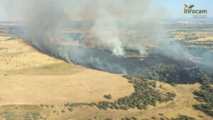Un incendio forestal en Calera y Chozas (Toledo) provoca el corte de la carretera CM-4130