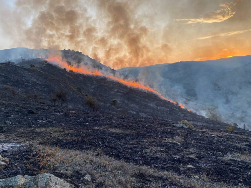 El Gobierno declara 'zona catastrófica' por incendios y danas territorios en todas las CCAA, excepto País Vasco