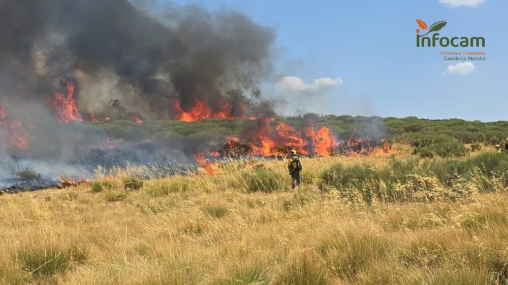 Mercedes Gómez responde al PP que "en ningún incendio de C-LM han faltado medios" y anuncia su comparecencia en Cortes