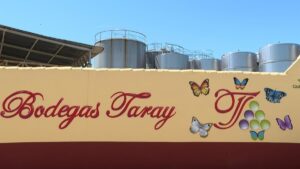 Bodegas Taray busca "dar el salto" a un mayor reconocimiento: "En los pueblecitos también se hacen vinos buenísimos"