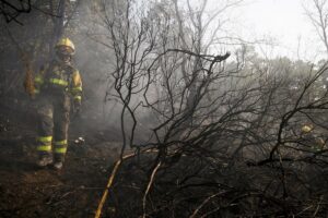 El Gobierno aprueba coeficientes reductores para que los bomberos forestales puedan jubilarse a los 60 años