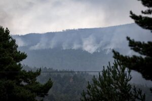 El fuego de Peñalba (Guadalajara) pasa a nivel 1 en la zona de C-LM gracias a meteorología favorable