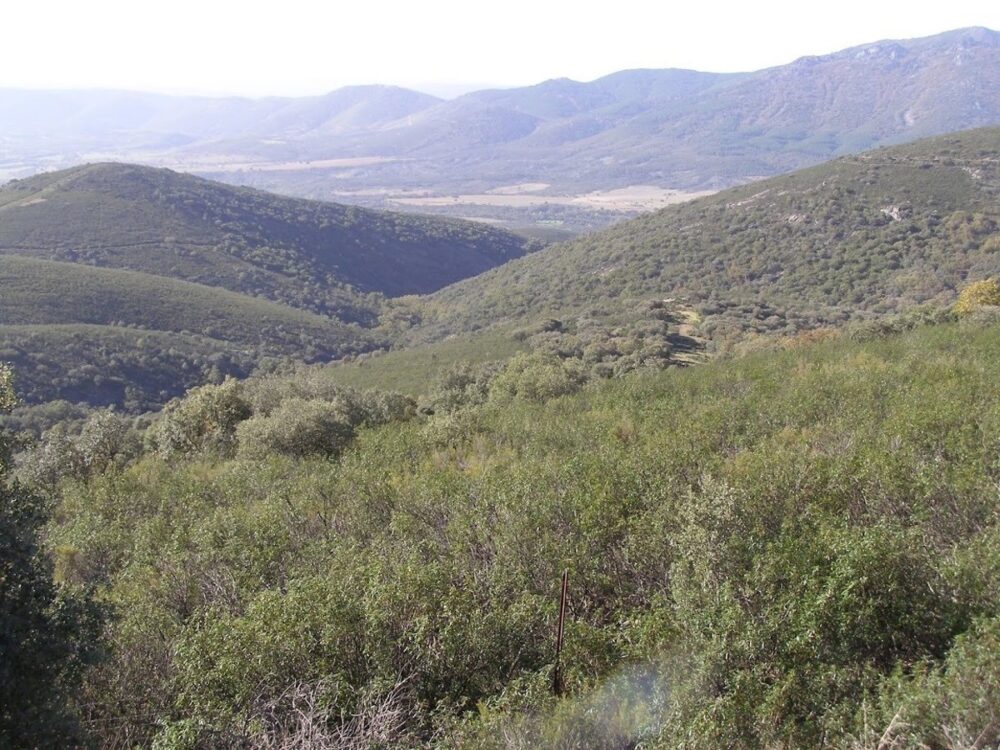Eurocámara visitará en febrero el Parque Nacional de Cabañeros para estudiar los efectos de la prohibición de la caza