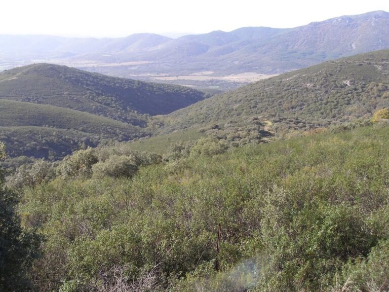 Eurocámara visitará en febrero el Parque Nacional de Cabañeros para estudiar los efectos de la prohibición de la caza