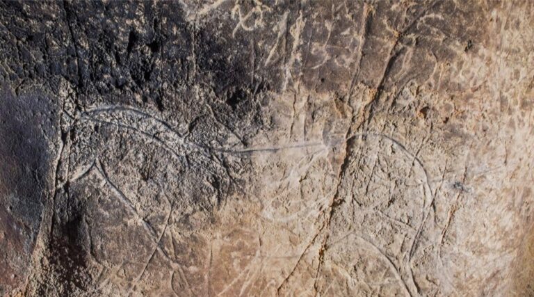 Junta organiza más de una decena de actividades para celebrar el Día Europeo del Arte Rupestre el 9 de octubre