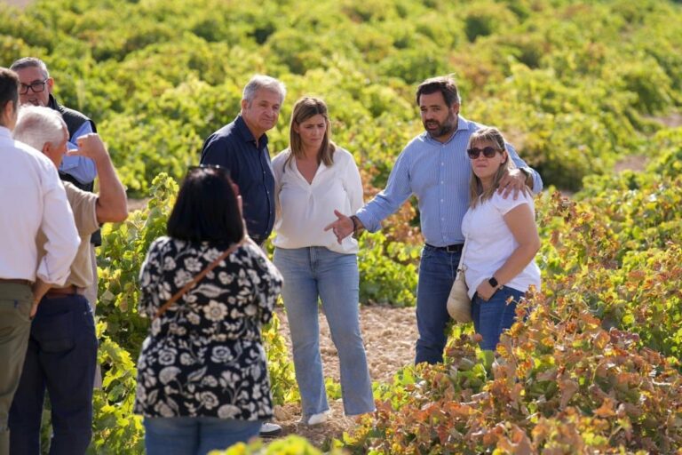 PP C-LM denuncia la "persecución" al campo y exige soluciones "urgentes" para salvar la vendimia