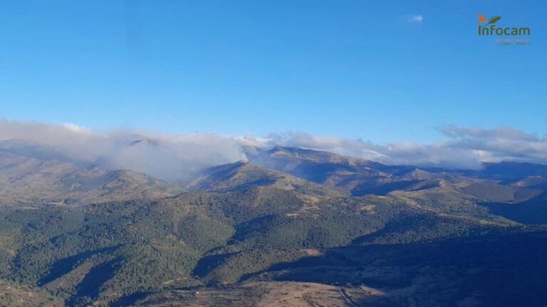 Un rayo, causa probable del incendio forestal de Peñalba de la Sierra