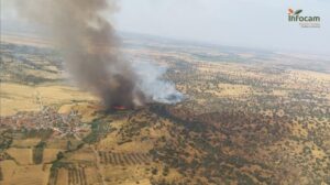 Vecinos de Navalmoralejo se recuperan tras el incendio del verano aunque "la naturaleza tardará más", según el alcalde