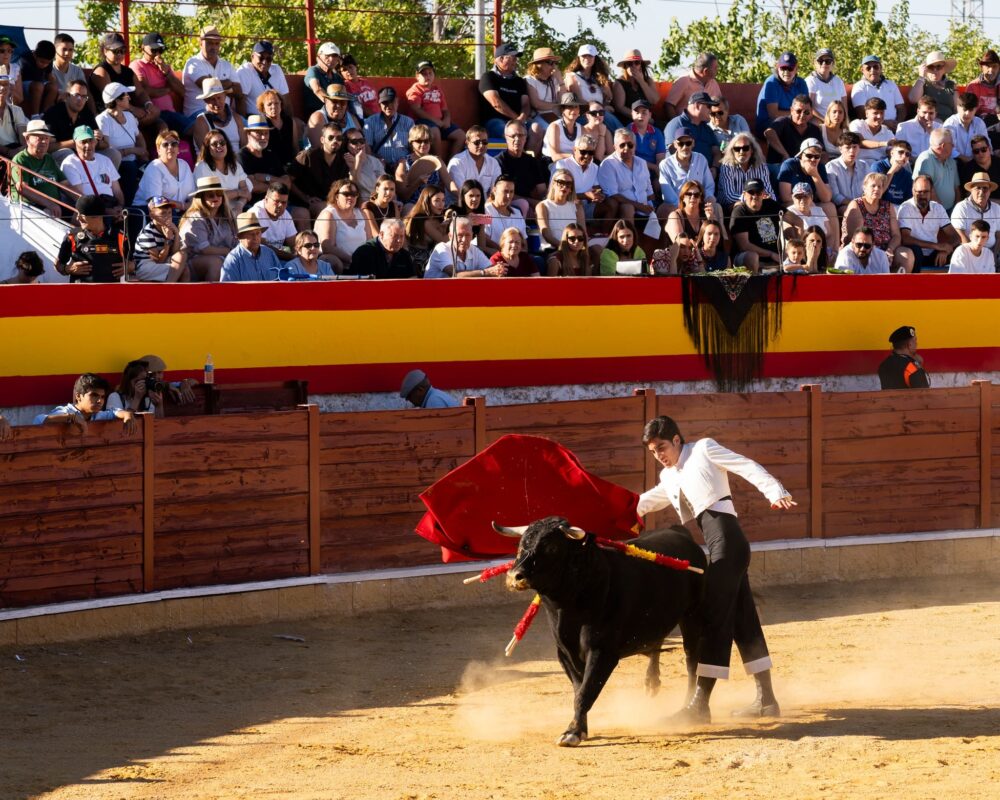 Éxito del Espectáculo Taurino de la Feria y Fiestas 2025 en Herencia 1