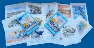 Carlos Villanueva Desvela los Secretos del Parque Nacional de las Tablas de Daimiel en su Nueva Obra "Desde La Quebrada" Presentada por la BAM