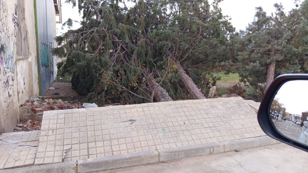 Rachas de viento dejan numerosas incidencias en Herencia: Protección Civil, Bomberos y Policía Local intervienen para restablecer la normalidad 1