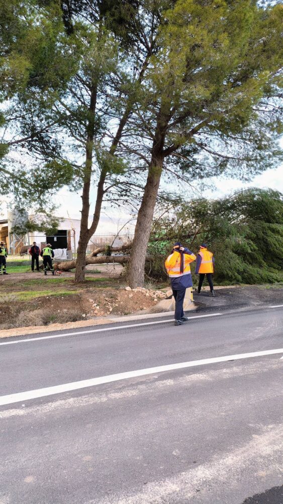 Rachas de viento dejan numerosas incidencias en Herencia: Protección Civil, Bomberos y Policía Local intervienen para restablecer la normalidad 4